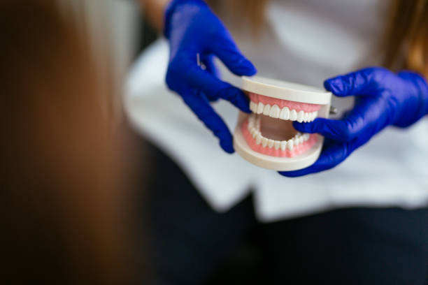 Best Dental Exams and Cleanings  in Wahneta, FL